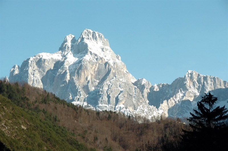 Montagna, parte il master sostenuto da Confcooperative