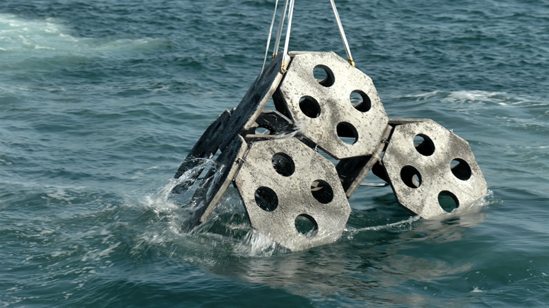 Una nuova casa per pesci, crostacei e molluschi con le piramidi sottomarine