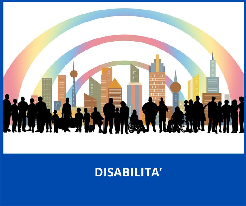 Disabilità sul territorio bresciano